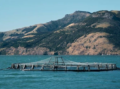 Aquaculture-1 Aquaculture-1